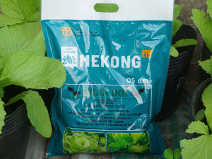 PHÂN BÓN HỮU CƠ TRUYỀN THỐNG - PHÂN DƠI NGUYÊN CHẤT MEKONGTTS - BÍ QUYẾT GIÚP ĐẤT MÀU MỠ - CÂY KHỎE ĐẸP - TRÁI TO NGỌT