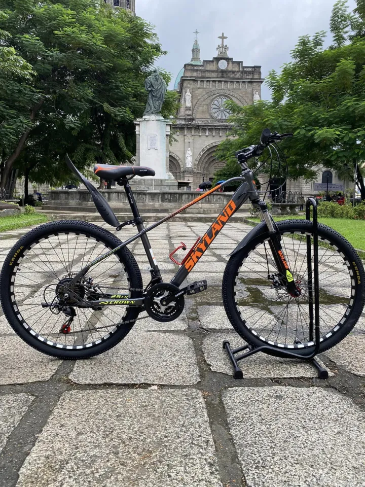 Skyland Steel 29er SIZE 26