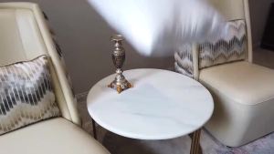 (In stock) Gold Cushion Cover Luxury Home Decor Throm Pillow Cover For Chair Livingroom Hotel Fashion Decorative Pillowcase