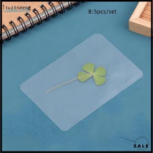[liujinpeng] 1 5 10Pcs Lucky Clover Postcards Natural Grass Transparent Wishing Cards For Bookmarks