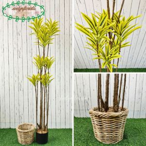 Pohon Artificial Tanaman Hias Song Of India T170 Variasi Warna Kuning & Putih Latex Cover Keranjang Rotan Hiasan Sudut Ruang Kantor Aesthetic