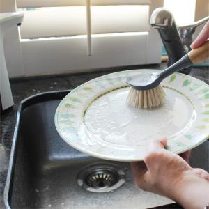 Eco Basics Dish Brush