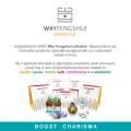 Boost Charisma ~ Roaring Fortitude 鼓声震天【Way Fengshui Lifestyle】. 