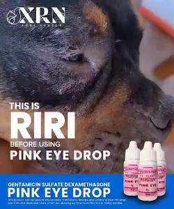 Gentamicin Pink EyeDrop for Animal Use 15ml