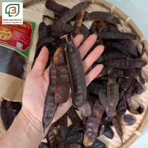 Trái bồ kết khô dùng gội đầu xông nhà Bình Lam Natural