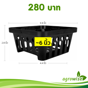 กระถางต้นไม้ กระถางกล้วยไม้ 4 เหลี่ยม เบอร์ 6 นิ้ว 50 ใบ ชิ้น ยกมัด