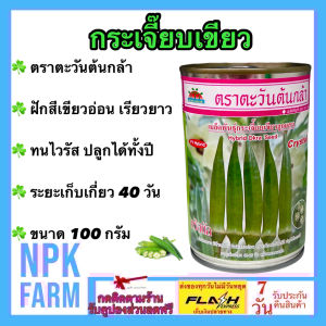 ตะวันต้นกล้า กระเจี๊ยบเขียว คริสตัล [ ขนาด 100 กรัม ] หมดอายุ 05 /2570  ลอตใหม่ ฝักสีเขียวอ่อน เรียวยาว มีห้าเหลี่ยม ทนต่อโรคไวรัส ปลูกได้ตลอดปี อายุเก็บเกี่ยว 40-45 วัน npkplant