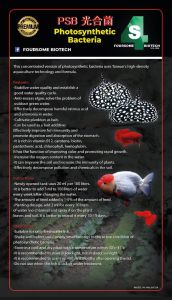 FOURSOME BIO Live Photosynthtic Bacteria PSB Phosphate solubilizing bacteria Aquarium Water clear addictive Penjernih air Bakteria PSB 水族光合菌 1000ml
