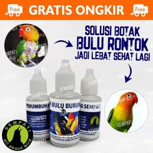Obat Penumbuh Bulu Burung Sempati Obat Burung Bulu Rontok Patah Mabung Ngurak Moulting Lama Bermasalah Lovebird Kenari Murai Kacer