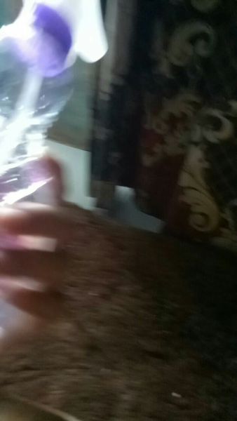 Buyer review video 2