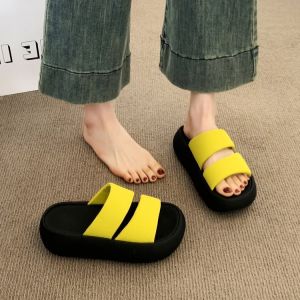 Hong Kong-Style Thick-Soled Sandals For Women 2026 New Model Suitable For Pairing With Skirts Versatile Fashionable And High-End Beach Shoes