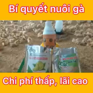 Combo TKS Men Tiêu Hoá Cao Tỏi + A xít hữu cơ chanh + Siêu Tăng Tốc Vỗ Béo - giảm chi phí nuôi gà vịt ngan