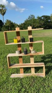 ชั้นไม้วางแค่คตัส ชั้นตัวเอสแขวนติดผนัง ไม้สักแท้ไม่ทำสี 10 ชั้น