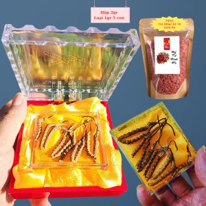 Hộp 2gr 10 con nhỏ Đông trùng Hạ thảo Tây Tạng khô nguyên con tự nhiên