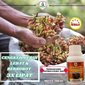 Pupuk Cengkeh Pupuk Booster Pelebat Cengkeh Pupuk Khusus Cengkeh Agar Berbuah Lebat Terbaik