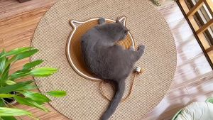 43CM Durable Cat Scratching Pad / Alas Garukan Kucing Segala Musim / Cat Wear Resistant Artifact