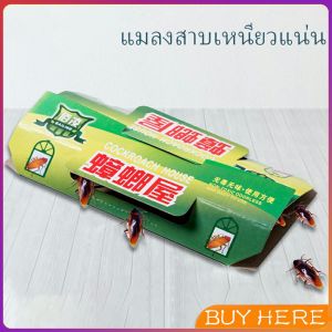 กับดักแมลงสาบ เหียวหนึบ กาวดักแมลงสาบ ใช้เหยื่อที่มีกลิ่นแรง ราคาต่อ 1 ชิ้น Cockroach trap BUY HERE