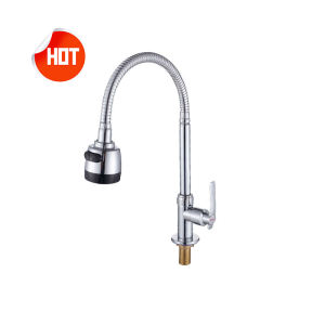 Stainless Steel Kitchen Faucet 360° Rotate Flexible Cold Tap Wall Mounted Faucet Sink Faucet