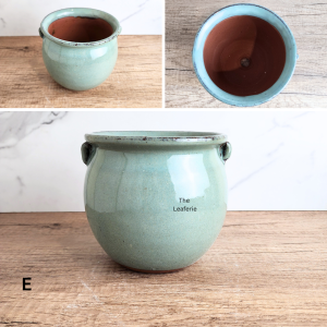 The Leaferie Sanrevelle big plant pots. Ceramic flowerpot . flowerpots . flower pot . planter . planters . Flowers
