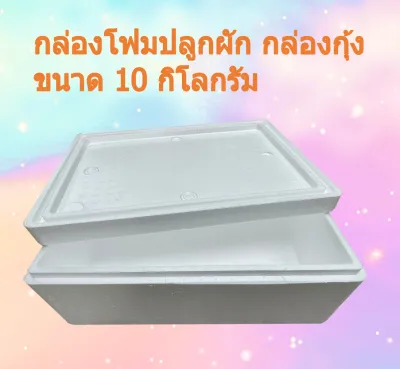 กล่องโฟม ลังโฟม กล่องปลูกผัก กล่องเก็บความเย็น ขนาด 10 กิโลกรัม จำนวน 1 กล่อง ราคาโรงงาน