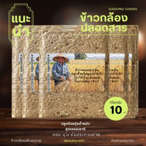 ข้าวกล้อง ปลอดสาร แพ็คสูญญากาศ 1 กิโลกรัม (แพ็ค10) ตรา สวนอิสระพินิจ คัดพิเศษ