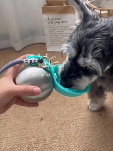 Portable Dog Water Bottle 285ML Stainless Steel Travel Dog Water Dispenser Foldable Silicone Bowl
