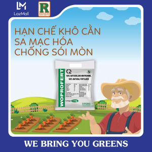 PHÂN BÓN HỮU CƠ GÀ XUẤT XỨ HÀ LAN ĐẬM ĐẶC VÀ TAN CHẬM