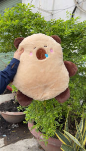 GỐI BÔNG CAPYBARA CHẢY NƯỚC MŨI – SIZE KHỔNG LỒ SIÊU MỀM MỊN
