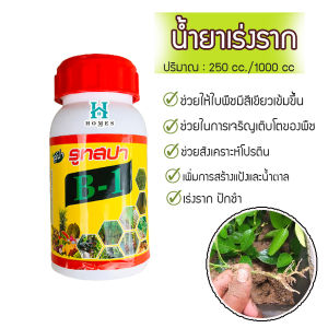 ยาเร่งราก 250 cc. ปักชำ รูทสปา ปูยน้ำสปา และเส้นปู เร่งรากบีวัน