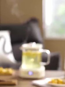 Multifunction Electric Preserving Health Kettle Tea Pot Glass Hot Water Heating Boiler Health Cup Thermal Flower Teapot Filter
