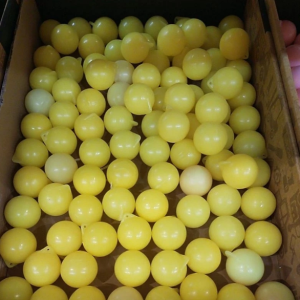 Mainan Bola Tek tek Latto Lato Mainan Viral Etek etek Childrens Toys Ball Toys READY STOCK (3035)