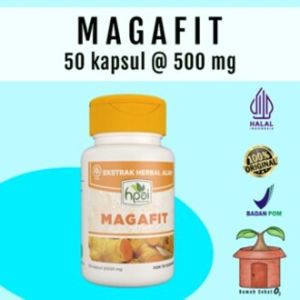 Kapsul Lambung Magafit Extra Herbal Alam Kapsul Temu Lawak Kunyit Dewa Daun Sembung Kunyit Putih
