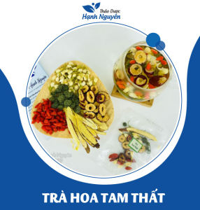 5-10 set Trà hỗ trợ tiểu đường mix set (Kỳ tử cỏ ngọt nấm linh chi mướp đắng táo đỏ nụ hoa tam thất) - Thảo Dược Hạnh Nguyên