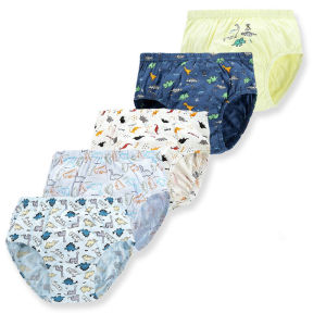 Exquisite Boxed 5-Piece Boys Underwear Soft Breathable Cotton Children Boys Briefs Cartoon Kids Triangle Knickers