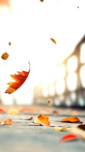 Setelan Anak Motif Natal & Tahun Baru