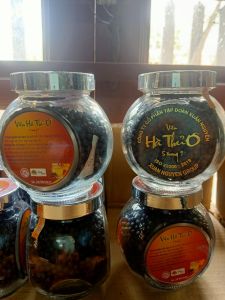 Combo 10 + 1 Viên Hà Thủ Ô 5in1 Xuân Nguyên Lọ Thủy Tinh 250gr