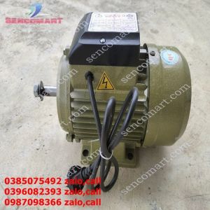 Mô tơ 11kw 1 tụ điện gắn máy băm cỏ voibăm chuối lát