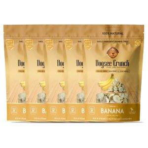 [Bundle Of 5] Dogsee Human Grade Crunch Freeze-Dried Apple/ Banana/ Coconut/ Mango/ Papaya Dog Treats 15g - kcpetsg