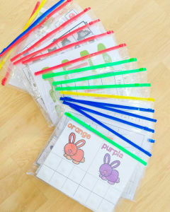 Montessori Brain Development Educational Toy Mixed Theme Bundle for 2-4 years old Special Needs Free Playdough