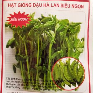 Hạt giống Đậu Hà Lan siêu ngọn - Gói 30gr