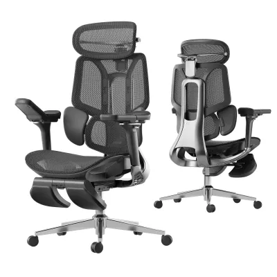 Hbada E3 Pro 2026 Ergonomic Office Chair with Dynamic Lumbar Support Adjustable Headrest & Adjustable Armrests | Mesh Gaming Chair