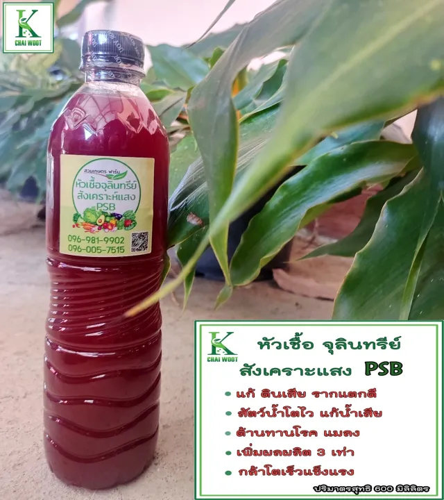 จุลินทรีย์สังเคราะห์แสง PSB 600ml กำจัดกลิ่นห้องน้ำ เร่งรากพืช