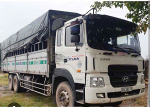 Nắp dầu xe tải Hyundai 15T đời cũ 2010 nắp dầu xe tải hyundai giá 1 cái.