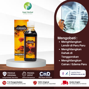 Obat Penghilang Lendir di Paru Paru Obat Batuk Paru Paru Perokok Aktif Madu Pembersih Lendir di Paru Paru Obat Batuk Berdahak - Sari Kurma Kurmaqu