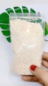 Biji Wijen Putih Sangrai/White Sesame Seeds Roasted Panggang Premium
