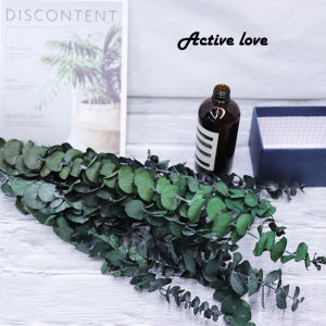 Preserved Fresh Flower Eucalyptus Leaf Copper Coin Eucalyptus Eucalyptus Leaves Preserved Fresh Flower Flower Material Special A Lobular Preserved Fresh Flower Factory Wholesale