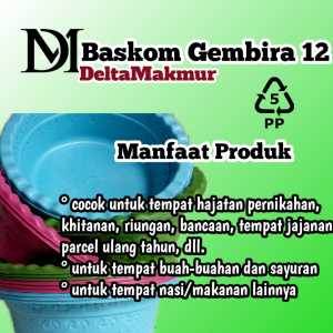 Baskom gembira 12  elegan multi warna dimensi 26 cm