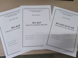 1 bộ 3 Bìa kẹp Hồ sơ viên chức mẫu HS09b HS09c HS09d chuẩn theo Thông tư số 07/2019/TT-BNV ngày 01/6/2019 của Bộ Nội Vụ