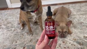 10-IN-1 Pet Multivitamin for Dogs & Cats  Dog Vitamins  Cat Vitamins  Pet Immune Support  Daily