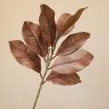 FOUNDTWO 57cm Artificial Magnolia Leaf Branches Lifelike Real Touch Fake Magnolia Plant Photography Props Floral Art Simulated Green Plants Home Office Decor. 